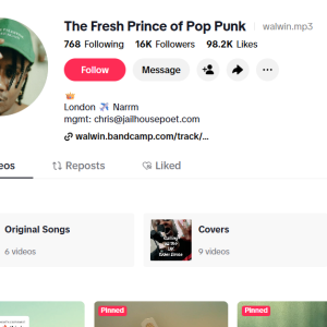 WALWIN - TikTok page