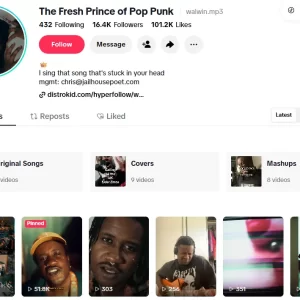 The landing page on tiktok for musician WALWIN