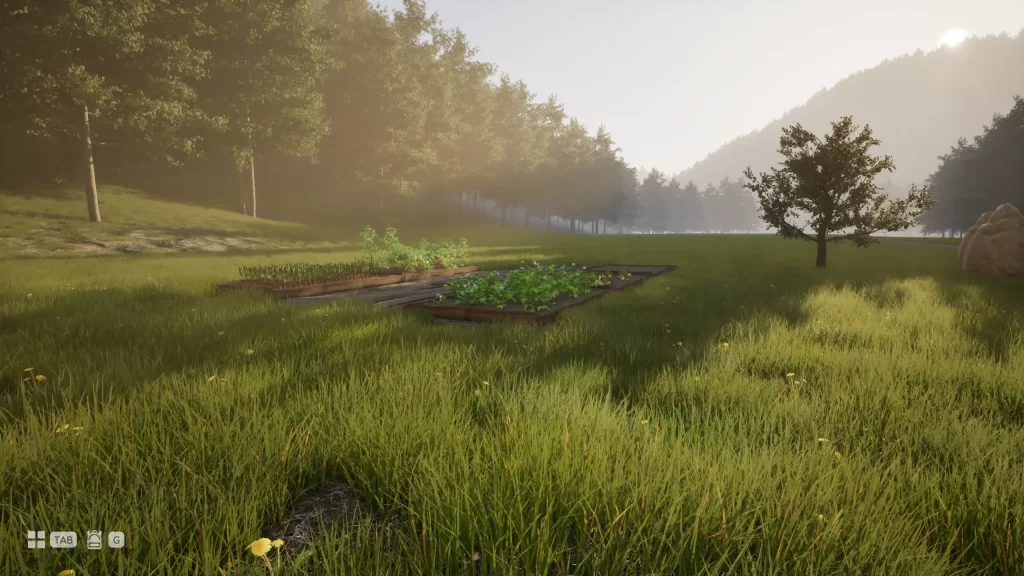 Arcadian Days - Vegetable patch at home